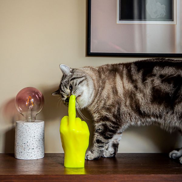 Candlehand Hand Gesture Candles Neon F*ck You