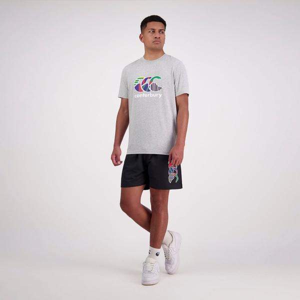 Canterbury Of New Zealand MENS UGLIES T-SHIRT GREY