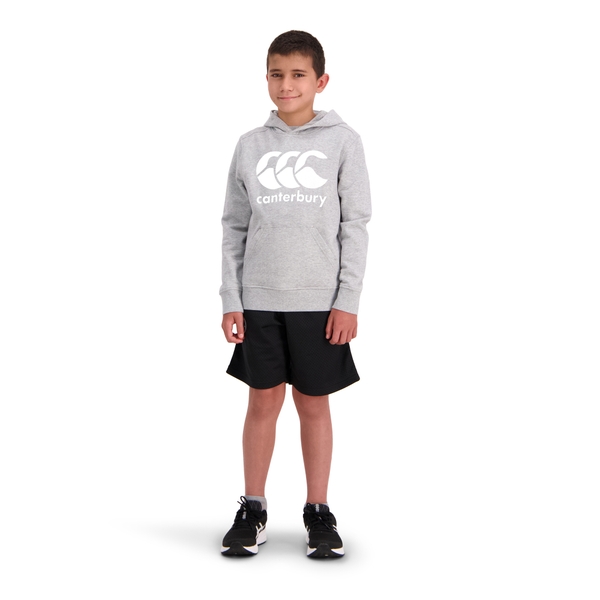 Canterbury Of New Zealand KIDS CCC ANCHOR HOODIE GREY