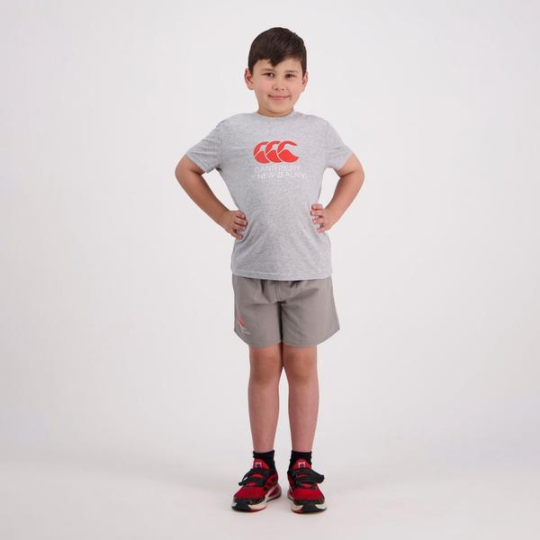 Canterbury Of New Zealand KIDS CNZ T-SHIRT CLASSIC MARLE
