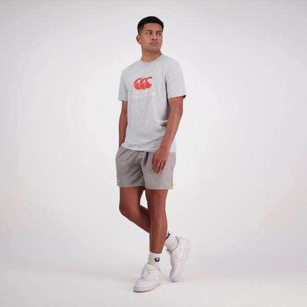 Canterbury Of New Zealand MENS CNZ T-SHIRT CLASSIC MARLE