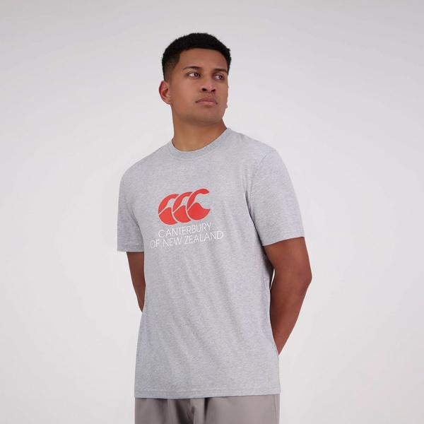 canterbury of new zealand MENS CNZ T-SHIRT CLASSIC MARLE