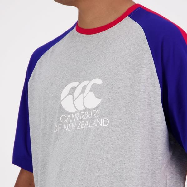Canterbury Of New Zealand MENS LEGENDS T-SHIRT CLASSIC MARLE