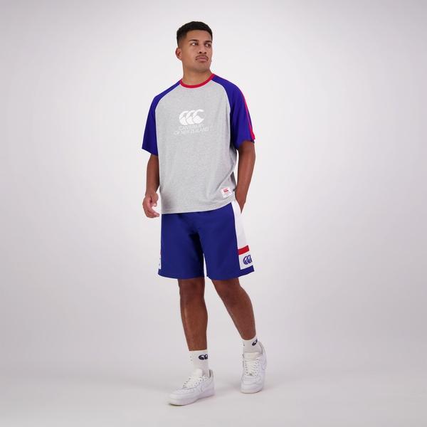 Canterbury Of New Zealand MENS LEGENDS T-SHIRT CLASSIC MARLE