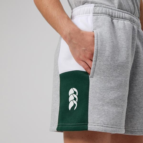 Canterbury Of New Zealand WOMENS LEGENDS SHORT GREY