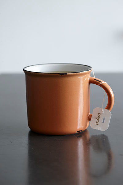 Canvas Home Tinware Mug In Burnt Orange - Set Of 4