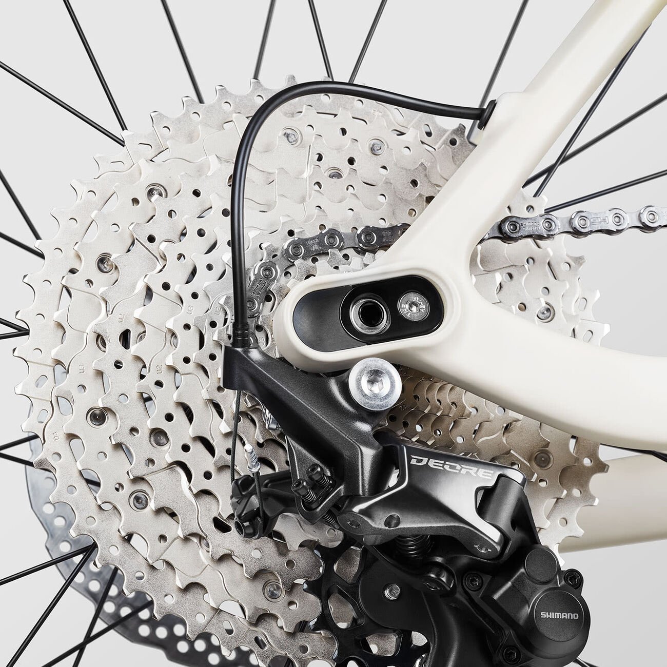 Canyon Dude CF 8 In The Valley