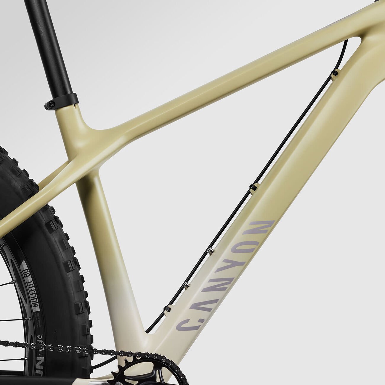 Canyon Dude CF 8 In The Valley