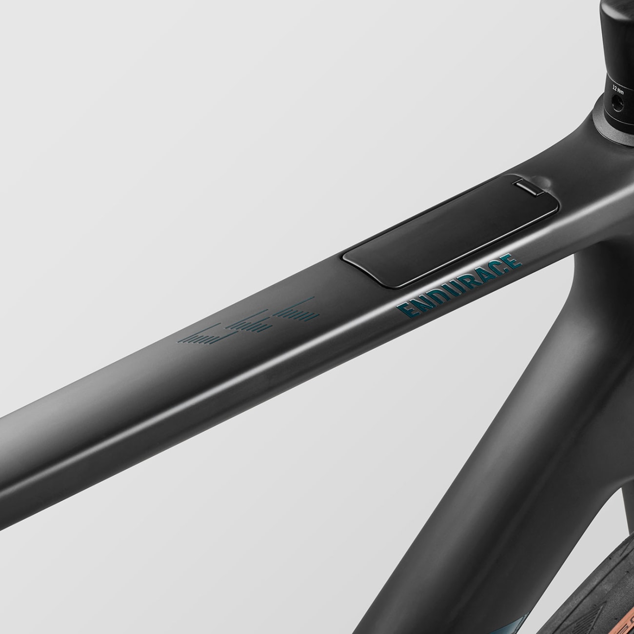 Canyon Endurace CFR AXS Stealth