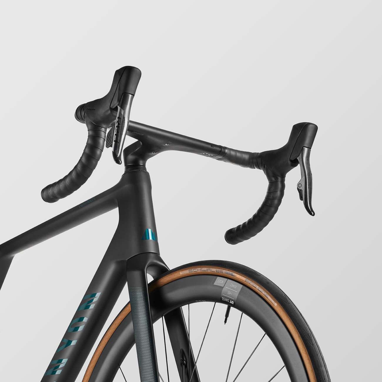 Canyon Endurace CFR AXS Stealth