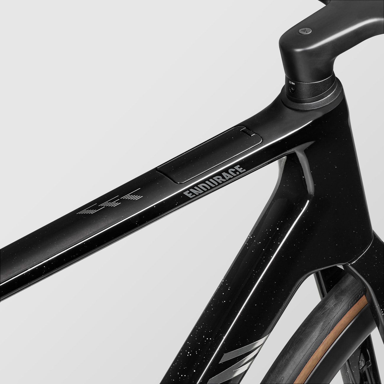Canyon Endurace CFR Di2 Sparkle Stealth