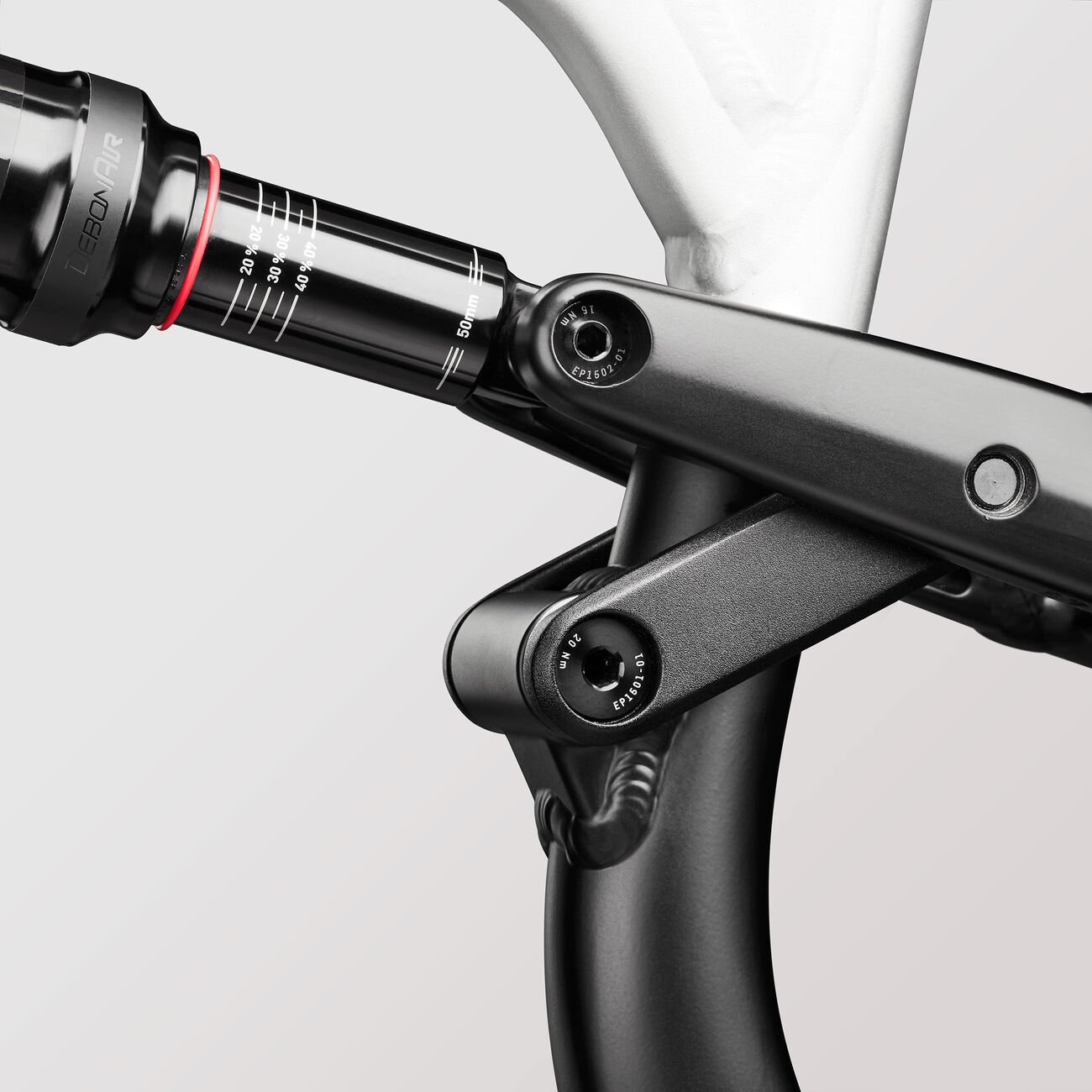 Canyon Spectral 125 AL 5 Real Raw