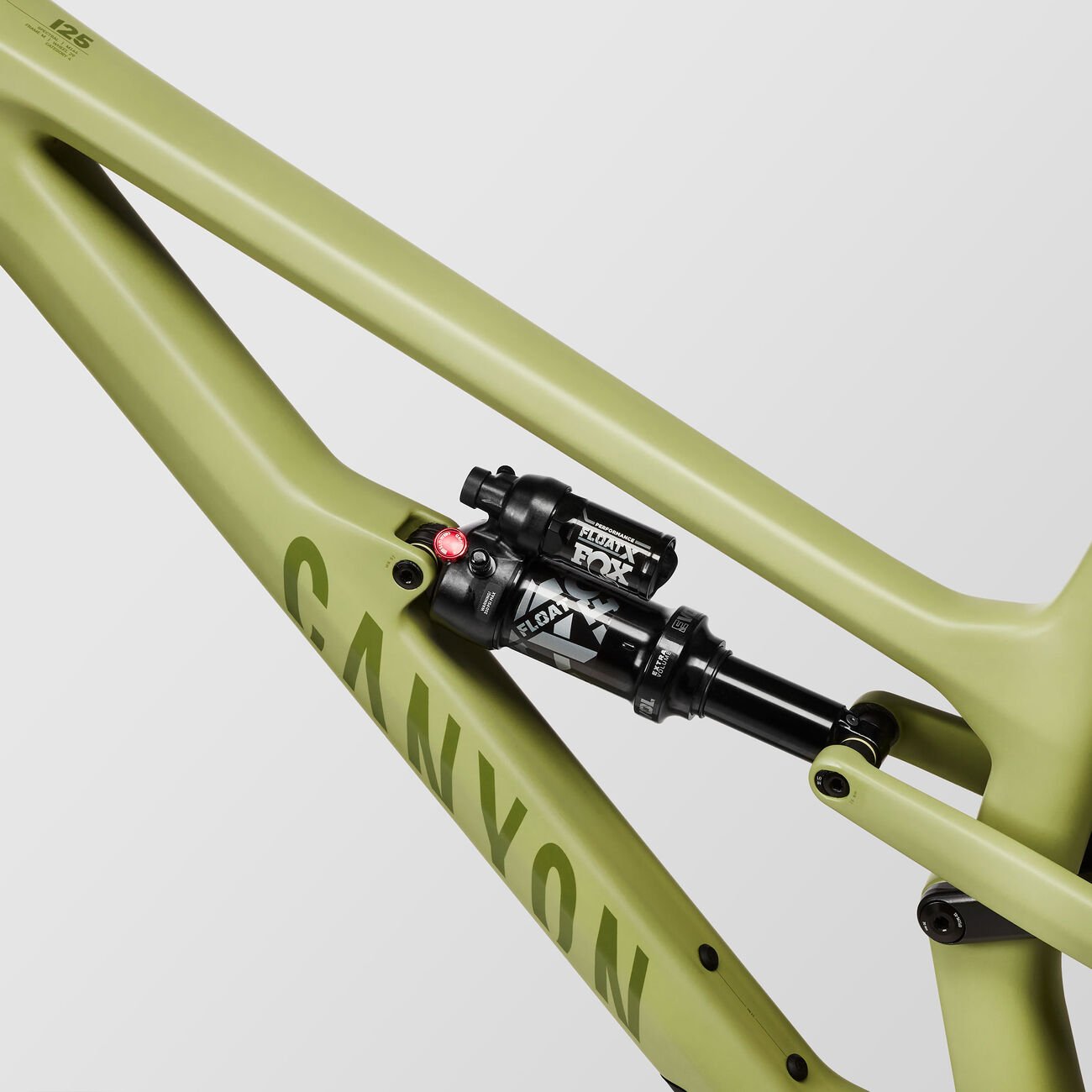 Canyon Spectral 125 CF 8 Big Bamboo