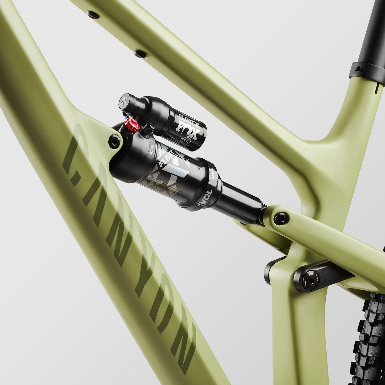 Canyon Spectral 125 CF 8 Big Bamboo