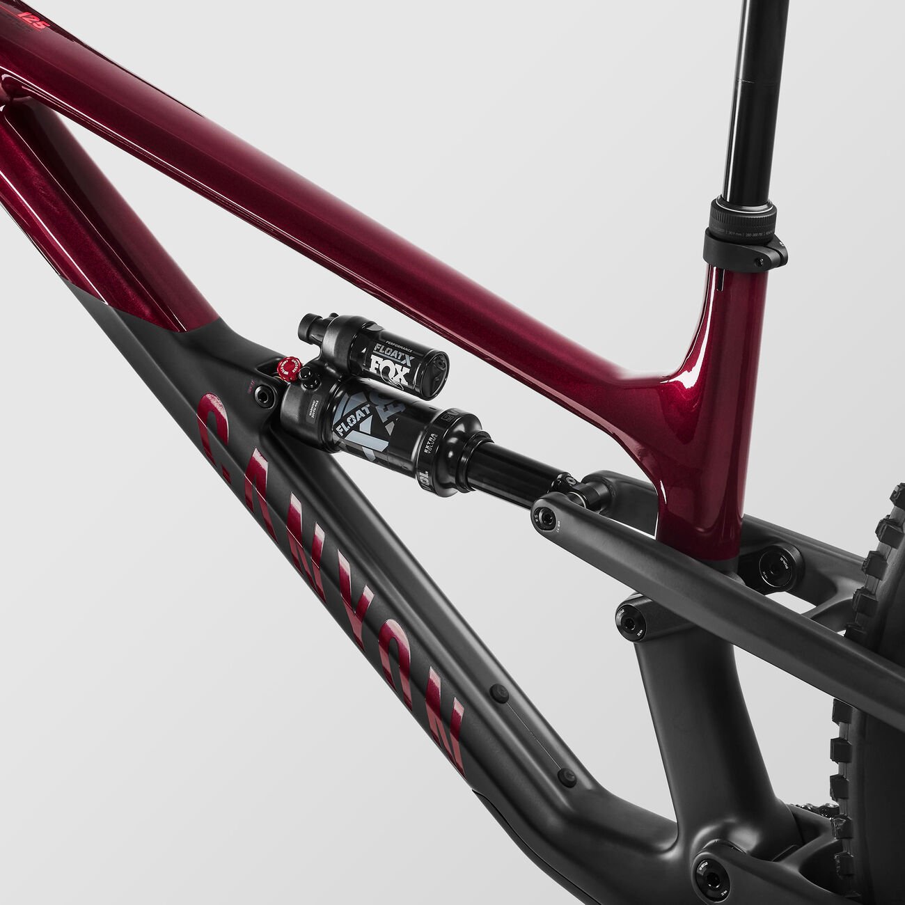 Canyon Spectral 125 CF 8 Rollercoaster