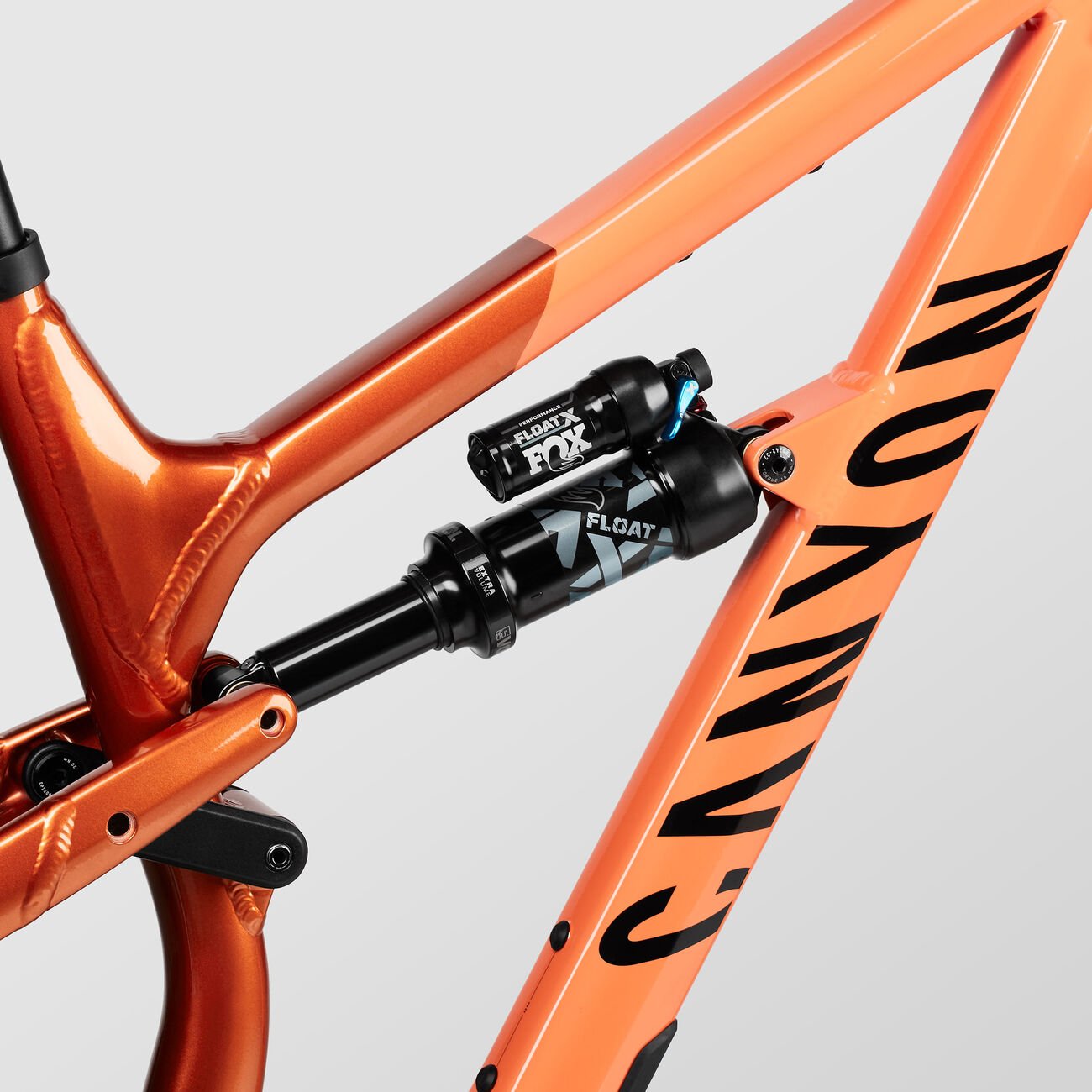 Canyon Spectral 29 AL 5 Flat Earth