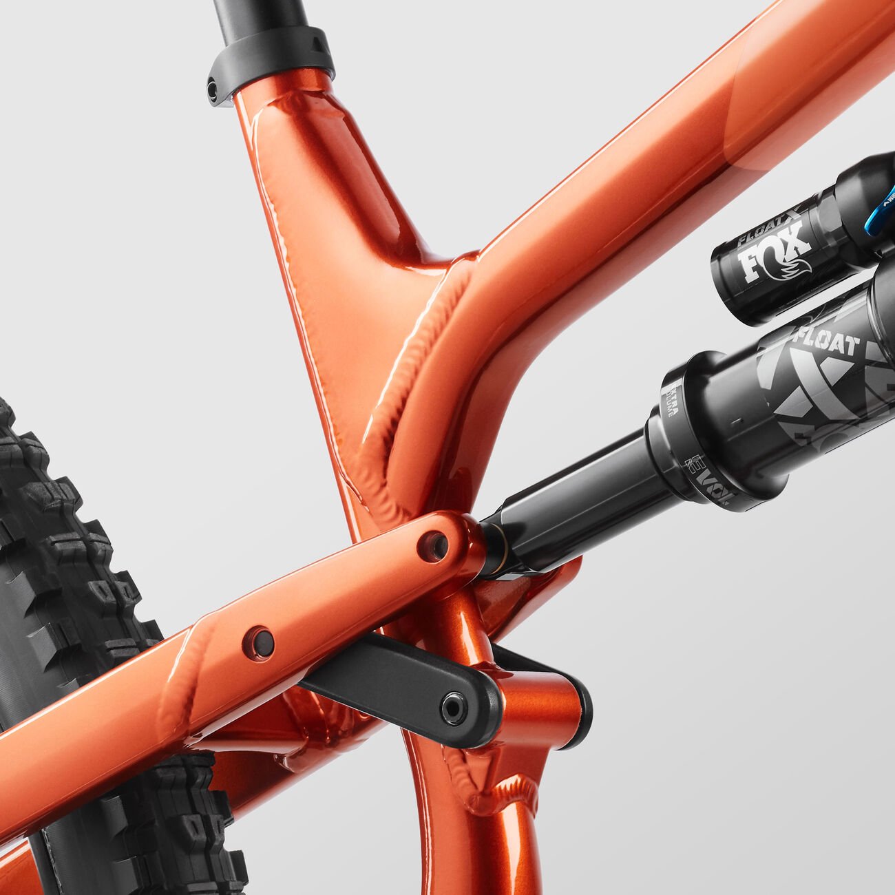 Canyon Spectral 29 AL 5 Flat Earth