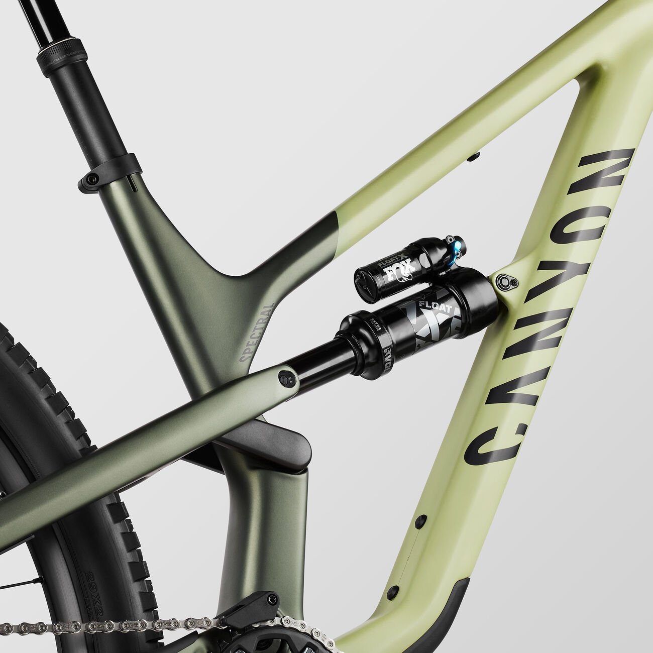 Canyon Spectral 29 CF 7 Big Bamboo