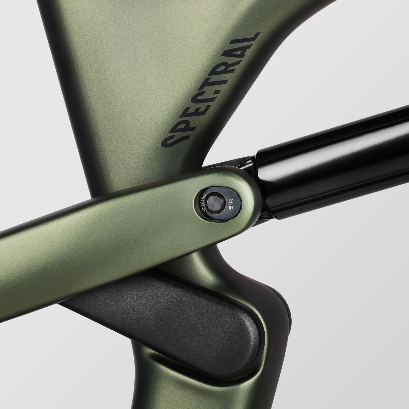 Canyon Spectral 29 CF 7 Big Bamboo