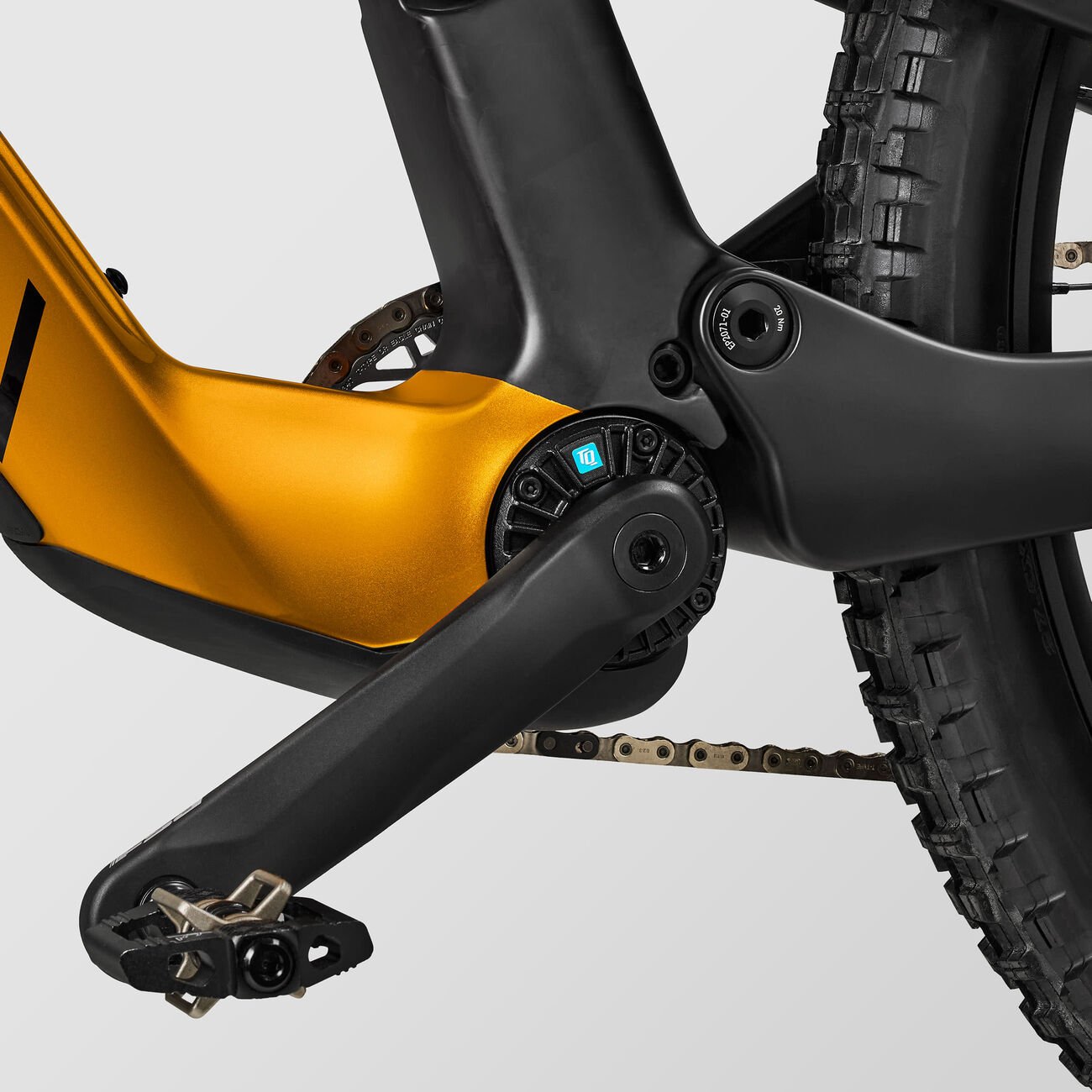 Canyon Spectral:ONfly CF CLLCTV Stadtwald Sunset