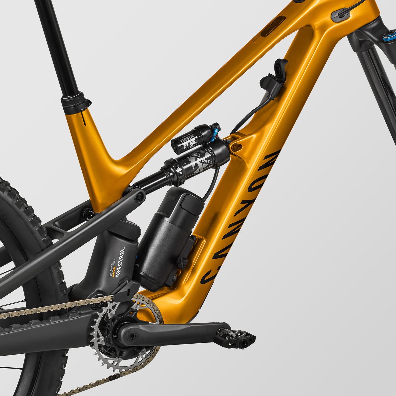 Canyon Spectral:ONfly CF CLLCTV Stadtwald Sunset