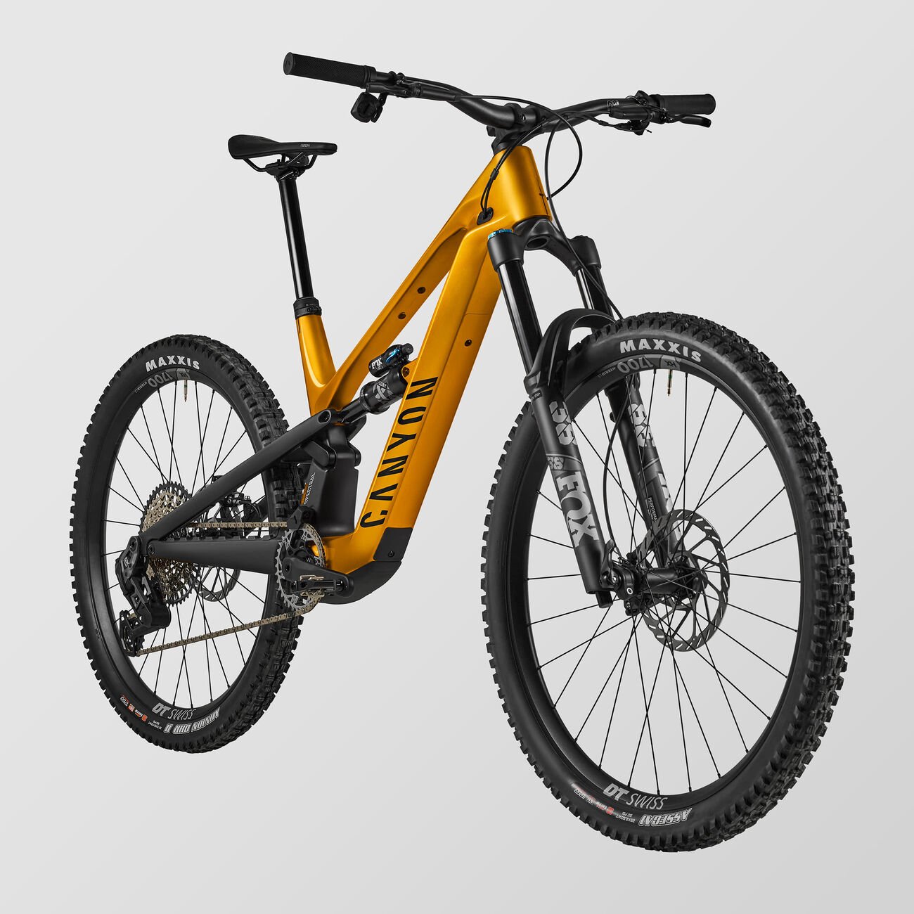 Canyon Spectral:ONfly CF CLLCTV Stadtwald Sunset