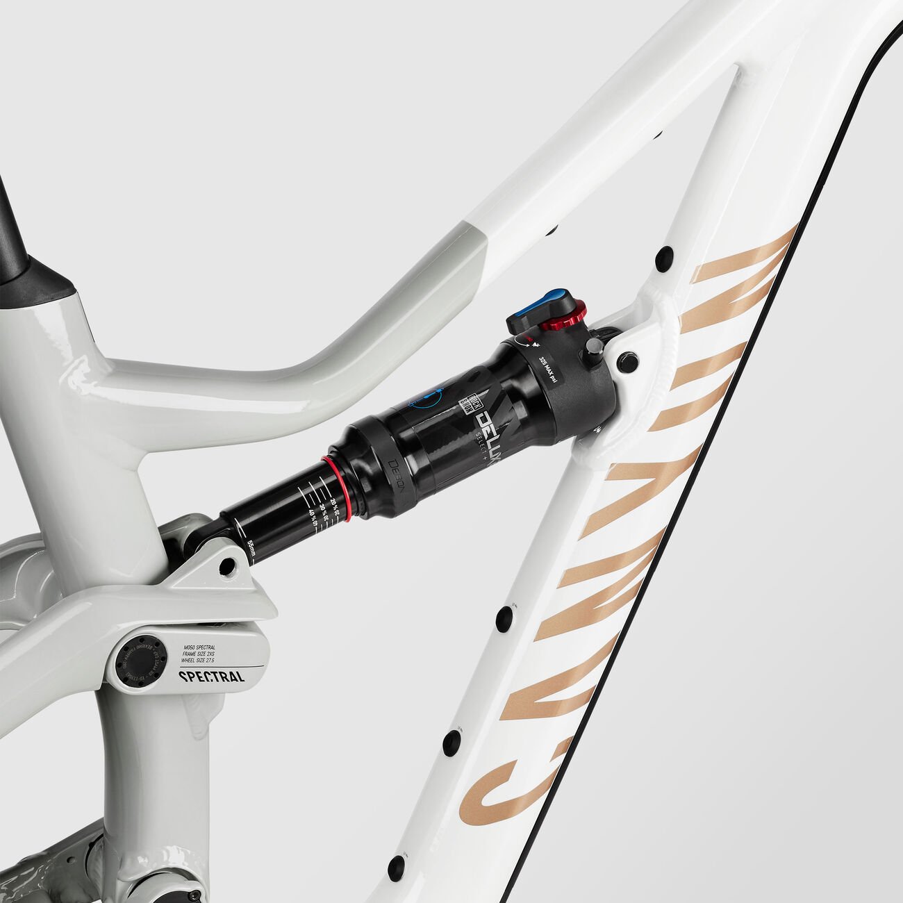 Canyon Spectral Young Hero Shockwave