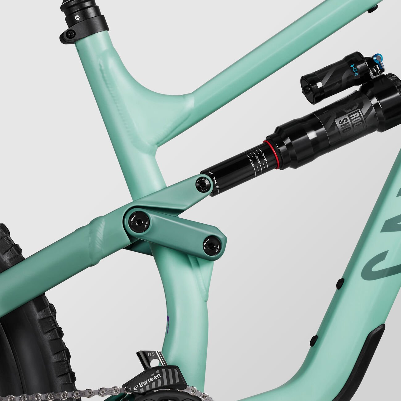 Canyon Torque 5 (Mullet) Real Raw