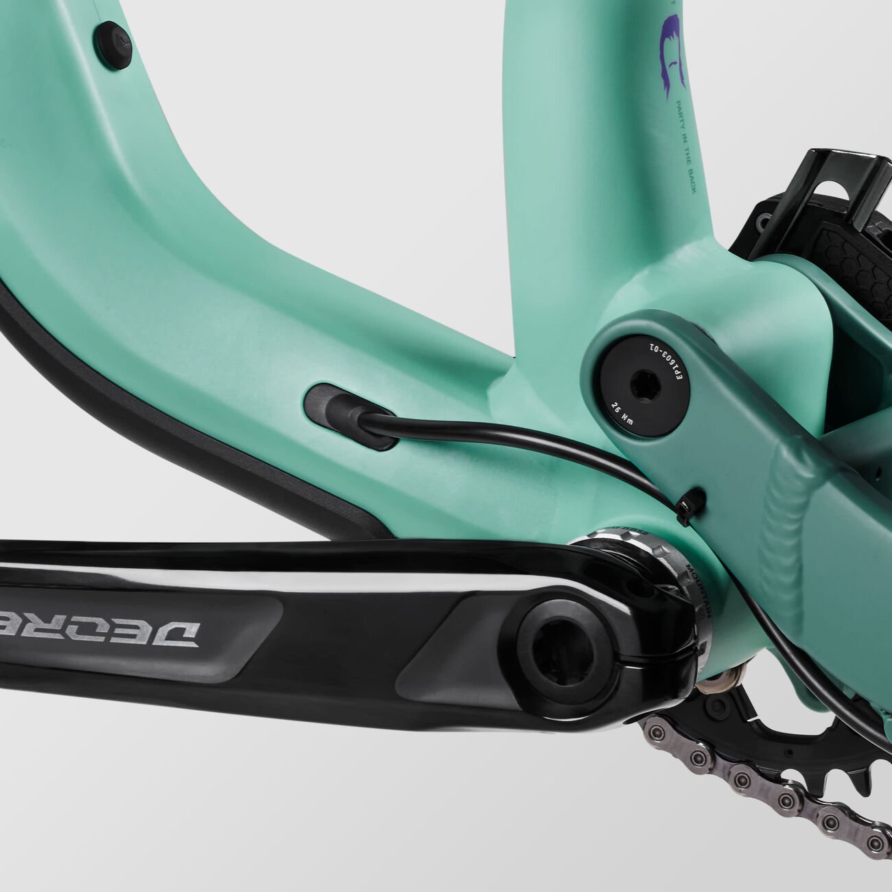 Canyon Torque 5 (Mullet) Real Raw