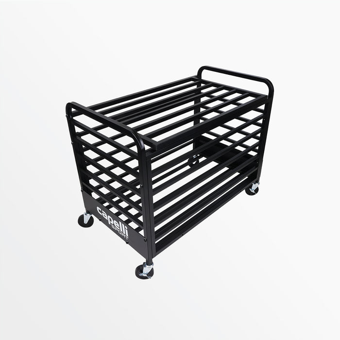 Capelli SPORTS BALL STORAGE CAGE WITH LID