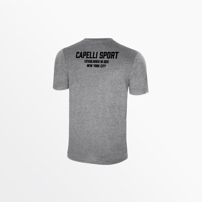 Capelli YOUTH CS ESTABLISHED TEE Light Heather Grey