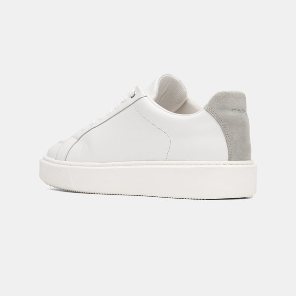 Capo Capo ESSENTIAL Trainer