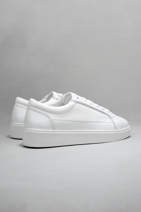 Capo Capo OXFORD Trainer
