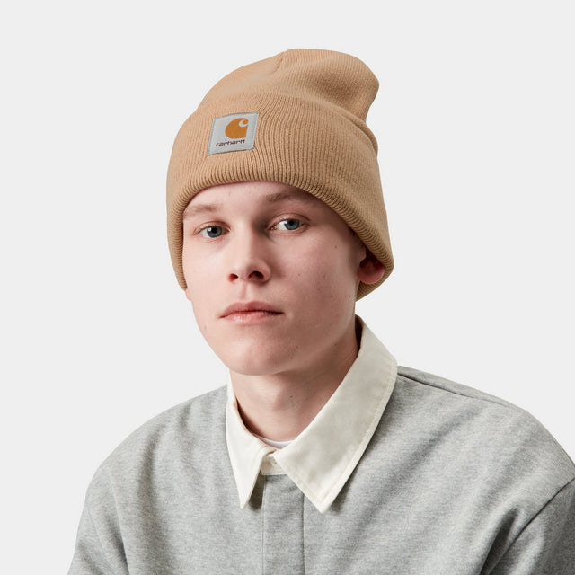 Carhartt Work In Progress Carhartt WIP Acrylic Watch Hat | Dusty Hamilton Brown