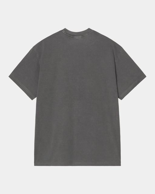 Carhartt Work In Progress Carhartt WIP Terrestrial T-Shirt | Black / Arbusta