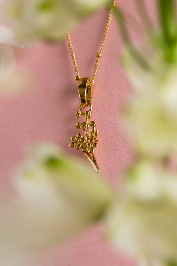 Carisma Delphinium July Birth Flower