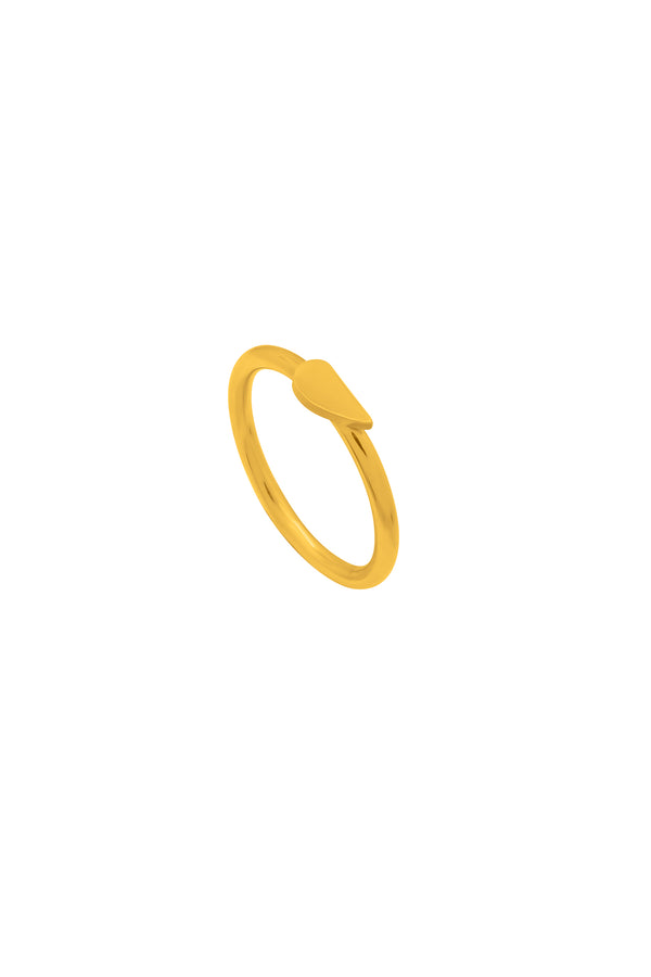 Carisma Fula Maqsuma Promise Ring - Left Side