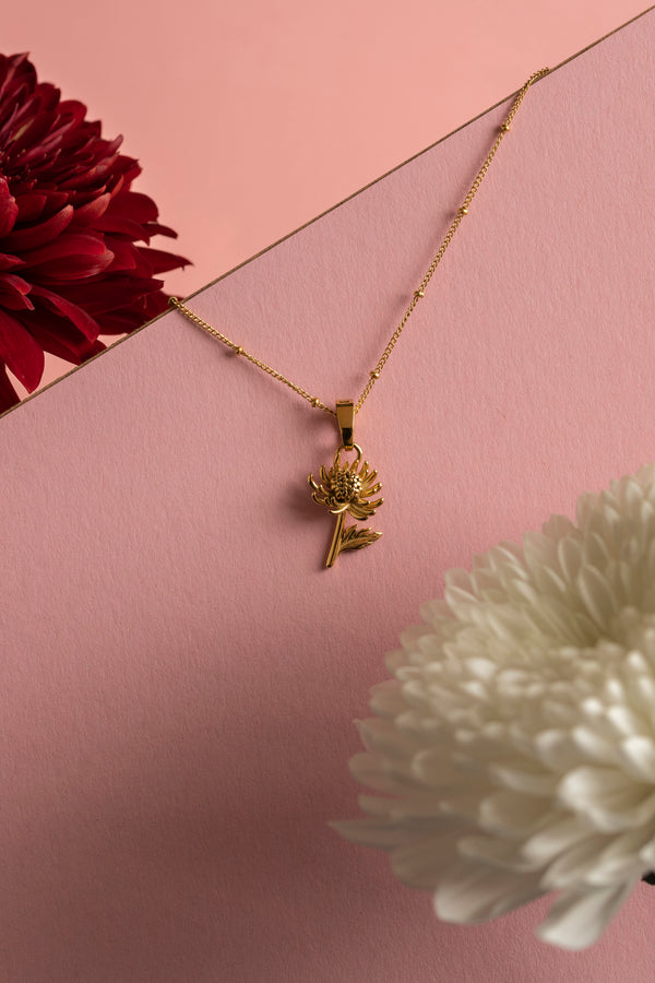 Carisma Kriżantema November Birth Flower