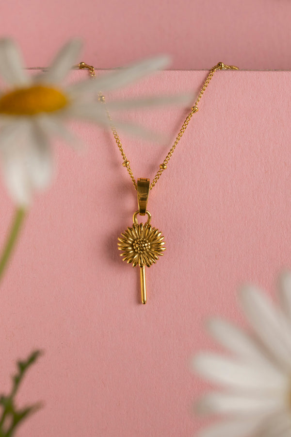 Carisma Margerita April Birth Flower