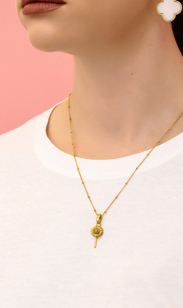 Carisma Margerita April Birth Flower