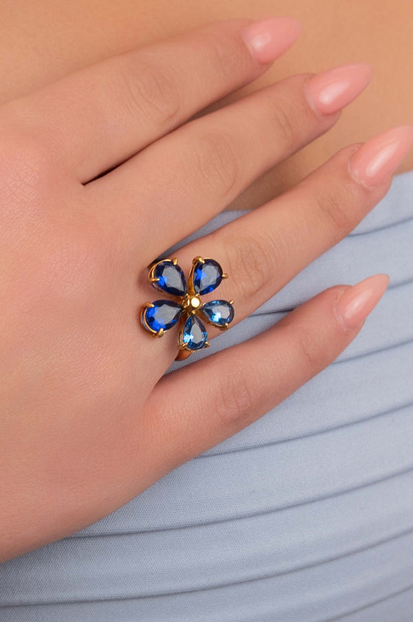 Carisma Pjombini Stud Earrings & Ring Gift Set