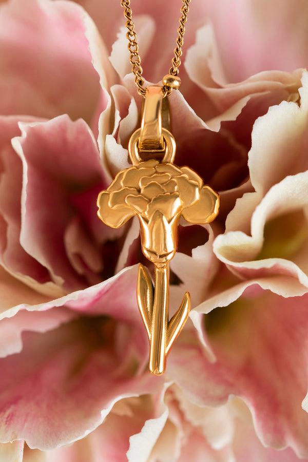 Carisma Qronfla January Birth Flower