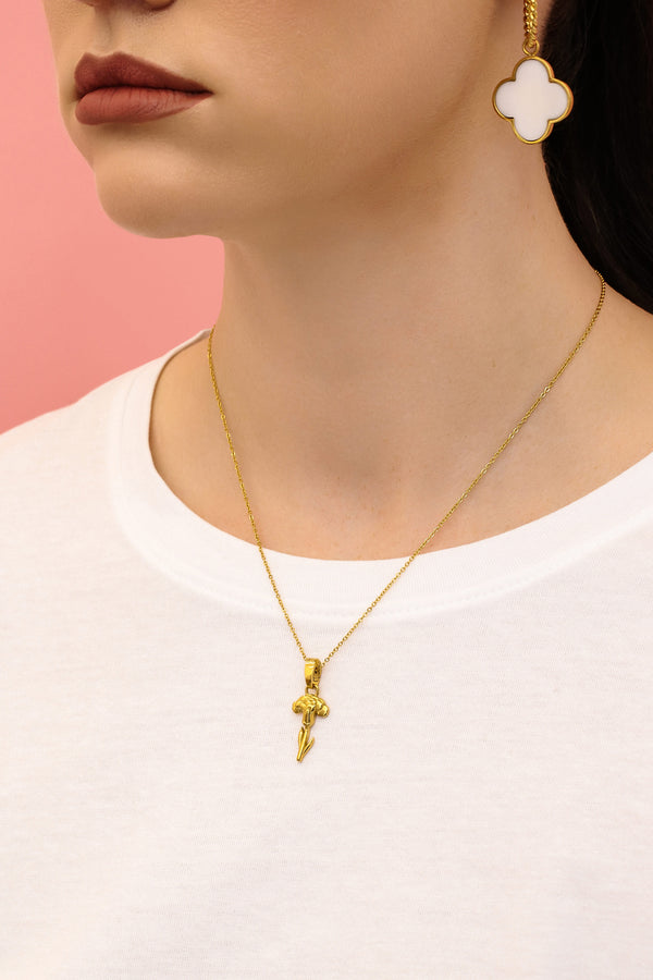 Carisma Qronfla January Birth Flower