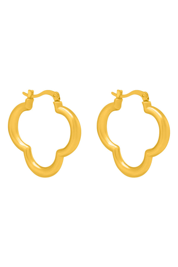 carisma Roberta's Signature Large Hoop Earring Set