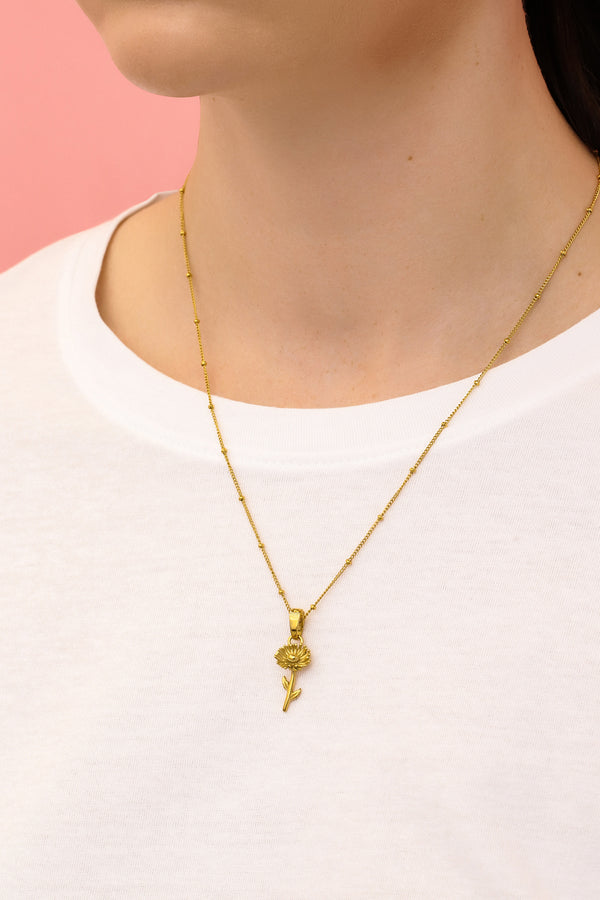 Carisma Settembrina September Birth Flower