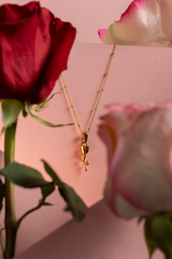 Carisma Warda June Birth Flower