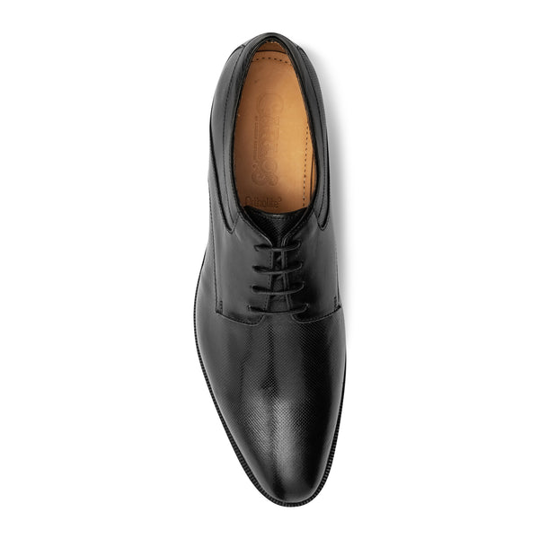 Carlos By Carlos Santana Power Print Oxford // Black
