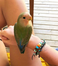 Carolina Bucci Carlotta's FORTE Beads Bracelet