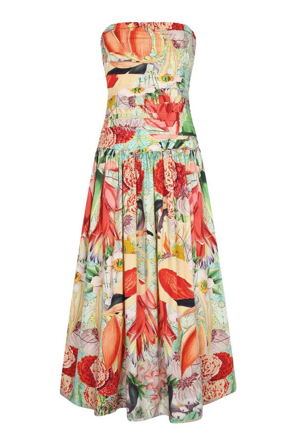 Carolina K Malla Dress