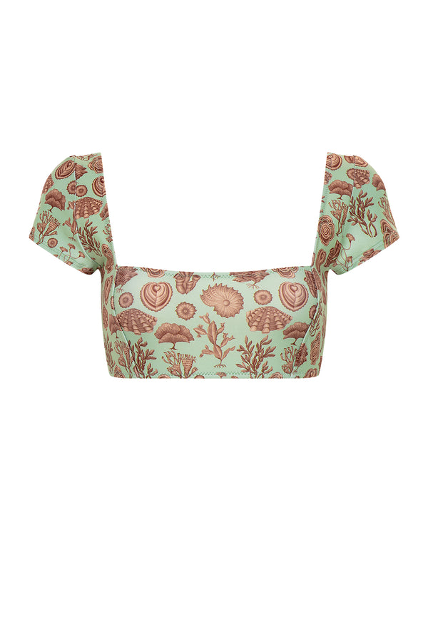 carolina k Mari Bikini Top - Final Sale